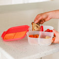 A person holding a small toasted sandwich piece over the B.Box Mini Lunch Box by B.Box, which features sections for cherry tomatoes, carrot slices, and a small dessert, on a speckled white countertop. The container has leak-proof compartments and a red lid.