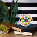 On top of two black books, a Baby Einstein Grip & Spin Oball Rattle Toy by Baby Einstein, featuring a white lattice design with colorful rings inside, is showcased. In the background, a green plant and a small geometric terrarium housing a succulent are also positioned on the wooden surface. The backdrop features black and white horizontal stripes.