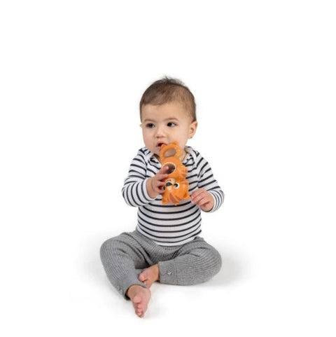 A baby wearing a striped long-sleeved shirt and gray pants is sitting on the floor against a white background. The baby is engaged in sensory exploration, holding and examining an orange Baby Einstein Teethe & Wobble Tiger Teether Toy.