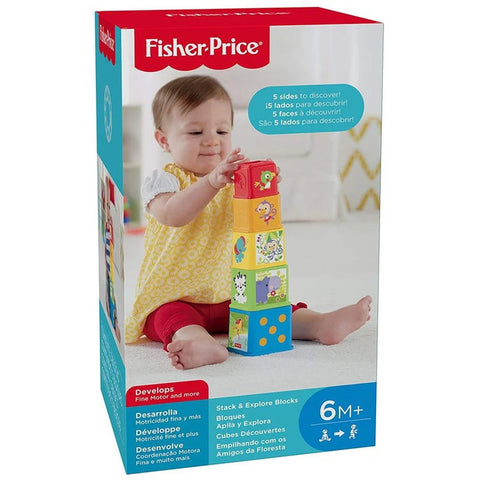 Fisher-Price Stack & Explore Blocks