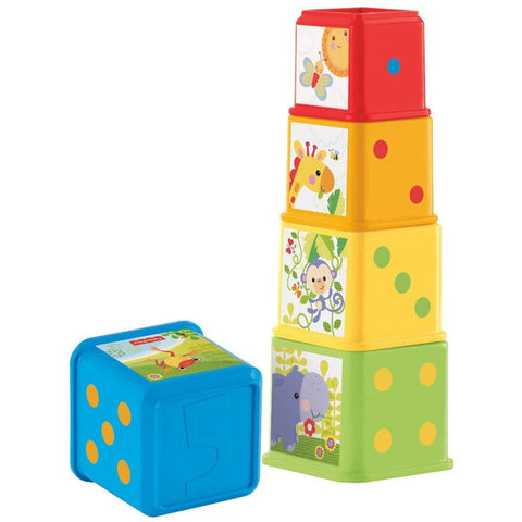 Fisher-Price Stack & Explore Blocks