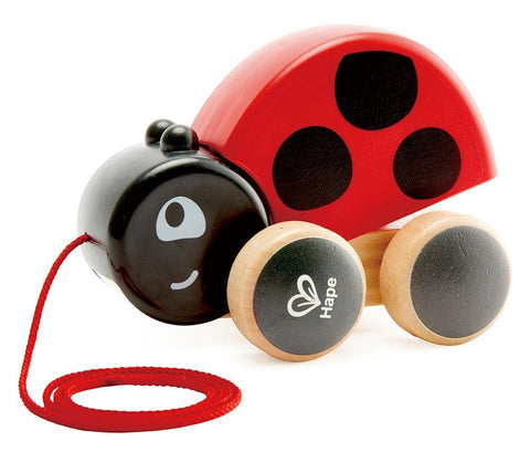 Introducing the Pull Along Ladybug by Hape: an enchanting red and black wooden pull toy with four wheels and a handy pull string. This charming children's toy showcases a black head with a white eye, and its vibrant red back is decorated with playful black spots. The brand name "Hape" is prominently displayed on one of the side wheels, inviting endless movement for playful adventures.