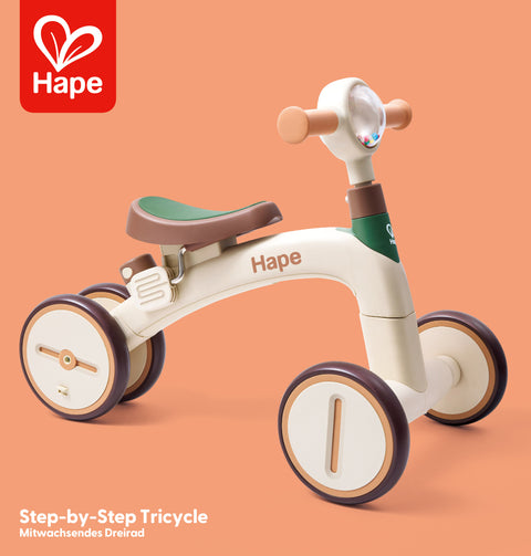 Hape Step By Step Tricycle