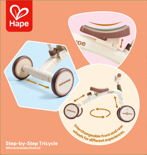 Hape Step By Step Tricycle