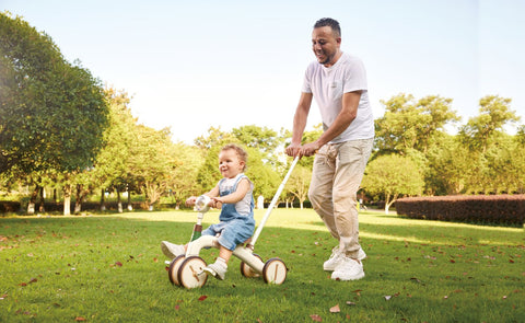 Hape Step By Step Tricycle