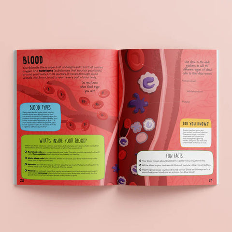 Hinkler Know And Glow Sticker & Activity Book - Human Body