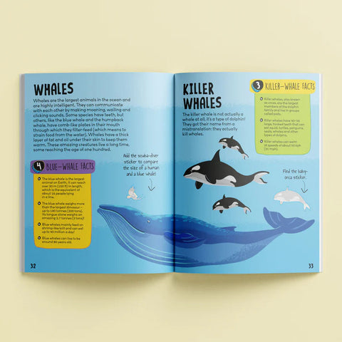 Hinkler Know And Glow Sticker & Activity Book - Ocean