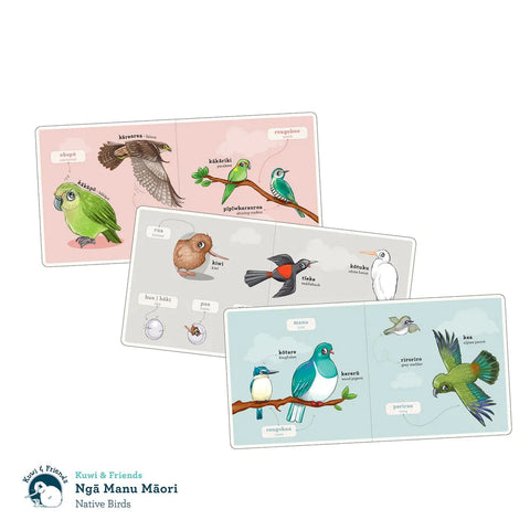 Illustration of three pages from the Kuwi Ngā Manu Māori - Native Birds Board Book by KUWI THE KIWI, featuring various birds and their Māori names. Some of the birds depicted are kea, ruru, kiwi, tūī, kererū, hihi, kākāriki, kākāpō, and korimako. Save the Kiwi!